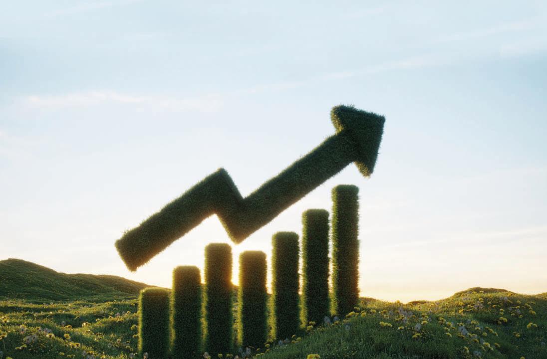 Beyond the ETF Buzz, Build Portfolios Right