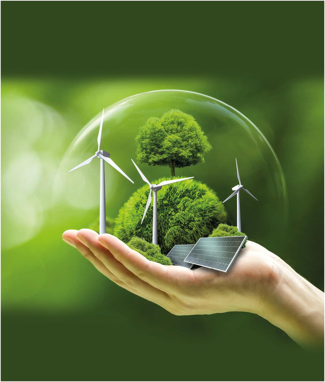 The Green Shift: Renewable Stocks Charge Ahead