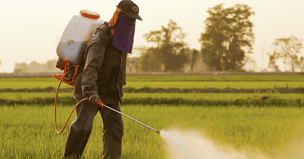 Sharda Cropchem: PAT jumps 105 per cent