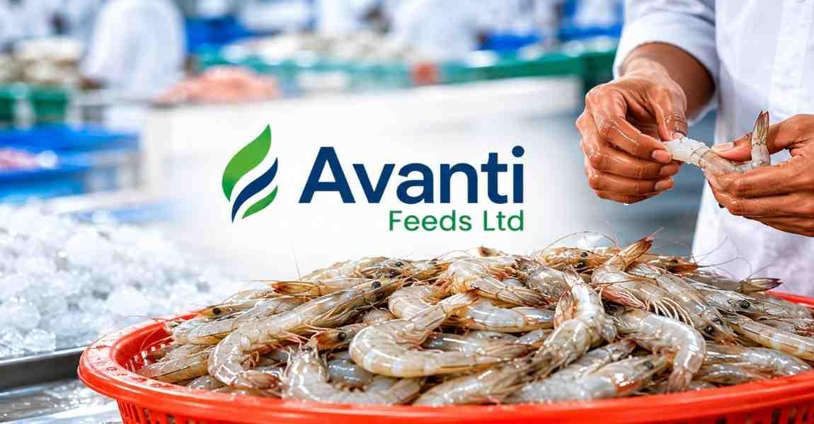 Highest Dividend In A Decade: Shrimp Feed Manufacturer Reports FY26 Results; Revenue Crosses Rs 6,000 Crore