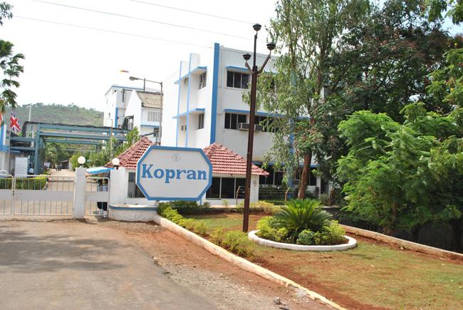 Kopran surges 11.5 per cent on the BSE