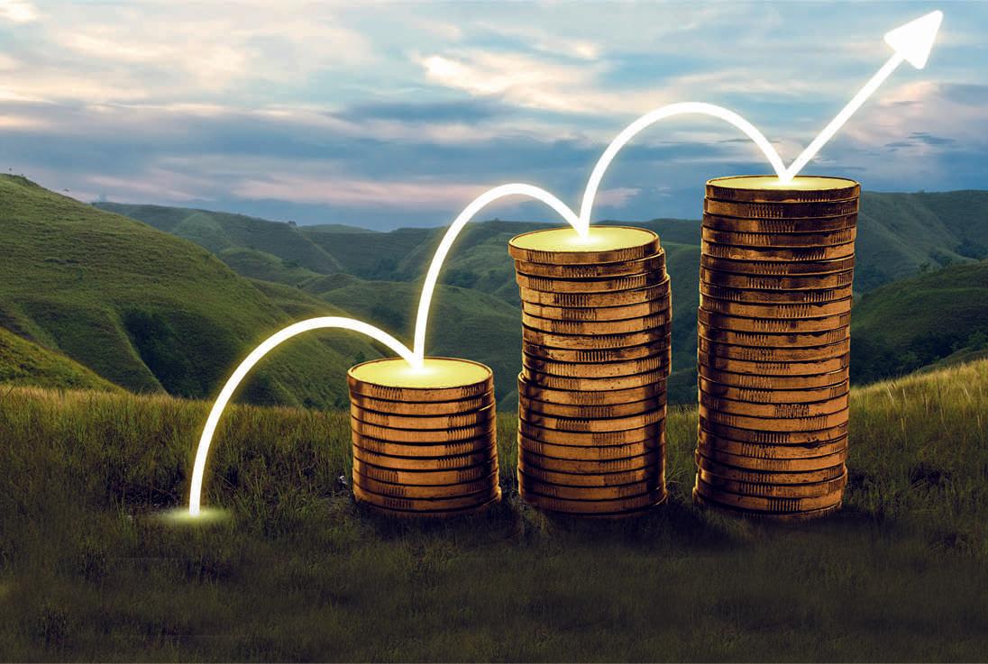 Multi-Cap Funds: All-Weather Wealth Strategy?