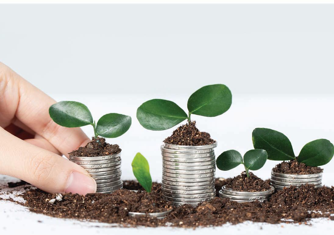 Debt Funds: Risk, Reward and the RBI Effect