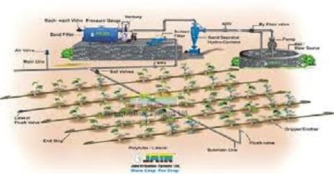 Jain Irrigation tanks 7 per cent post weak Q3FY19
