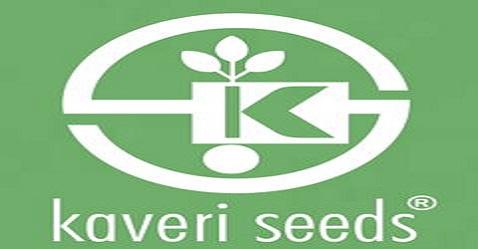 Kaveri Seeds commences corn drying facility in Telangana