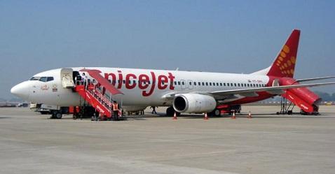 SpiceJet soars high on adding new flights
