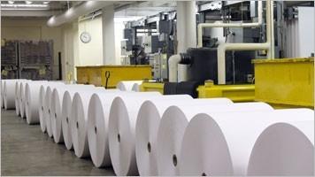 Paper stocks face dilemma of rise in pulp prices