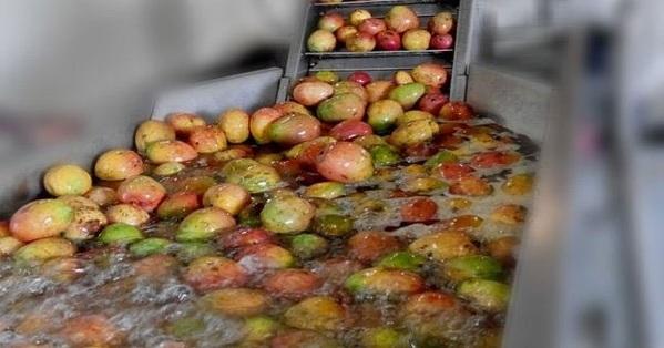 Foods & Inns hits upper circuit