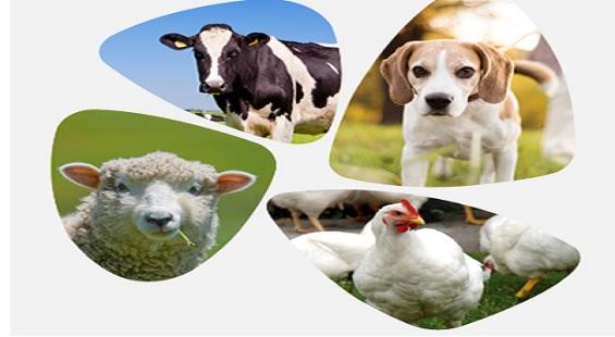 SeQuent Scientific reports PAT growth of 154 per cent.