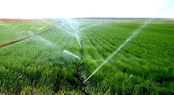 Jain Irrigation mulls divesting pipes business