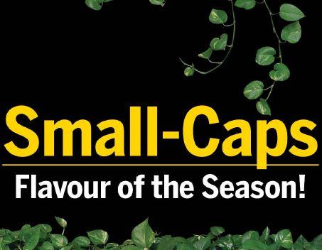 Small - Caps Flavour of the Season!