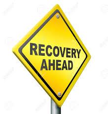 Indian economy shows signs of recovery