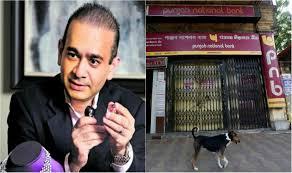 PNB Fraud: UCO Bank hits 52-week low on exposure to Nirav Modi