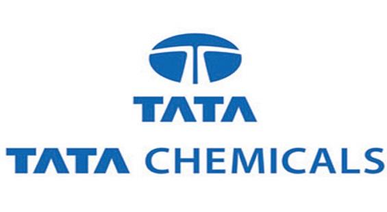 Tata Chemicals to foray into lithium-ion battery sector