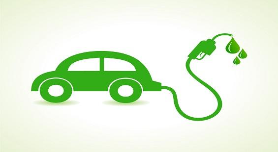 Maruti Suzuki gains on eyeing CNG, hybrid cars