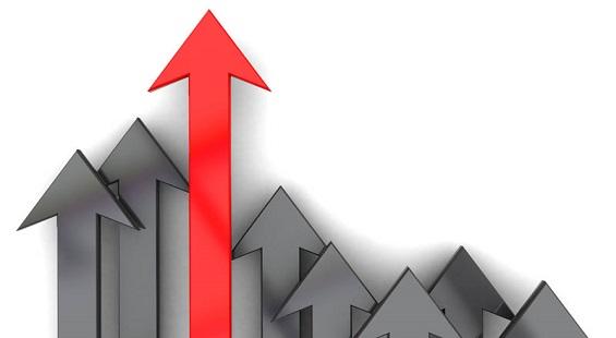 Q1FY20 Results: Shining stars of June quarter
