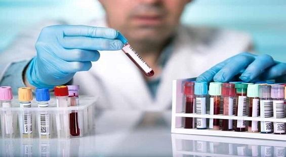 Indoco Remedies rallies on successful inspection at Goa plant