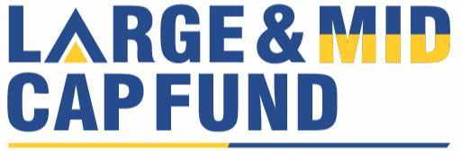 Investing In Large And Mid-Cap Funds: Checks And Balances