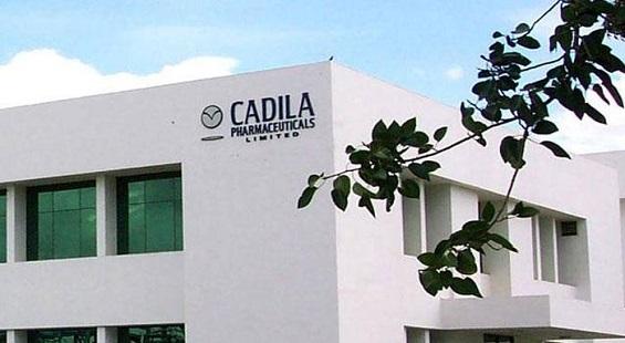 Cadila Healthcare to sell rights of Zypitamagt drug