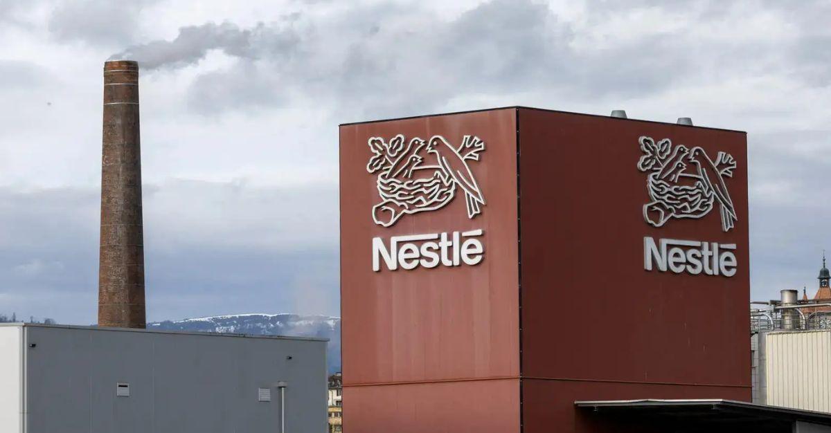 Nestle India Share Price Jumps Up to 7.5% on Tuesday; Here’s Why
