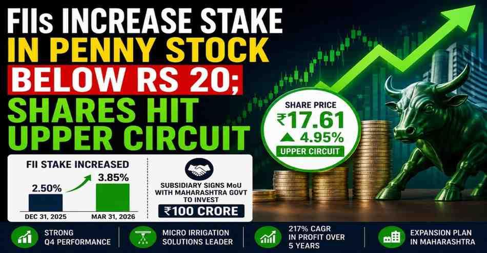 FIIs Increase Stake in Penny Stock Below Rs 20; Shares Hit Upper Circuit, Profit Grows at 217% CAGR