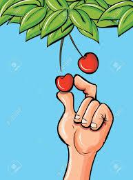 Profit Booking By Investor; Nifty 8060 Levels Remains Crucial