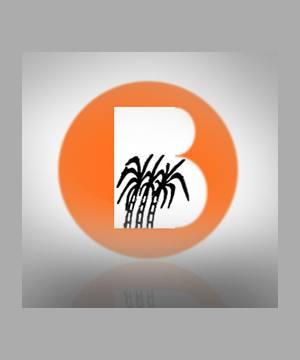 Balrampur Chini: Net Profit Ascends By 168% In Q4, But Tumbles On Yearly Basis