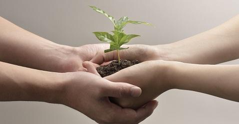 Tata Motors and Skoda Auto end chances of collaboration