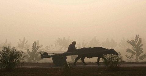 From popular poll pitch to a burden on GDP; crop loan waiver scheme still struggles to find its identity