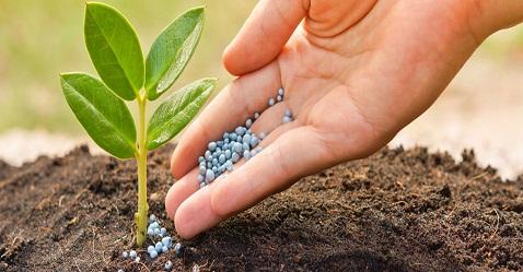  First five minutes of FM speech: Fertilisers stocks cheer