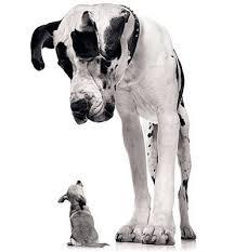 Let’s see how giants have done so far