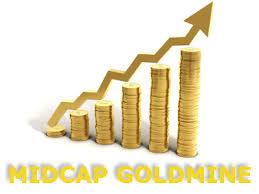 3 Mid Cap stocks to be looked at as markets are volatile ahead of BREXIT