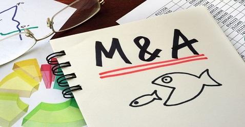 HDFC may launch IPO, as approval for merger with Max Life gets delayed