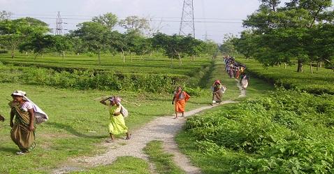 Budget 2017: Jaitley speaks on rural sector