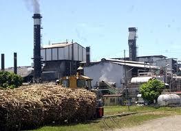 Government to focus on Bio fuel program, will benefit sugar industry