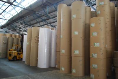 TNPL Q2 Profit Surges 78 Per Cent