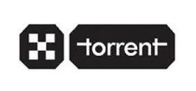 Torrent Pharmaceuticals: Q3FY14 Result Analysis