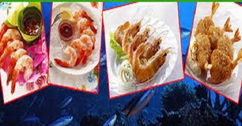 Avanti feeds breaches upper circuit; up by 20 per cent