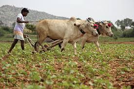 Stocks that gained over 5 percent in less than 1 week on good monsoon reports