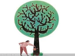 3 large cap funds that generated in excess of 20 per cent returns in 3 yrs