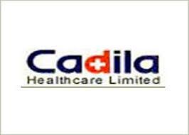 Cadila Healthcare hits 52 week high with mind blowing Q2 results
