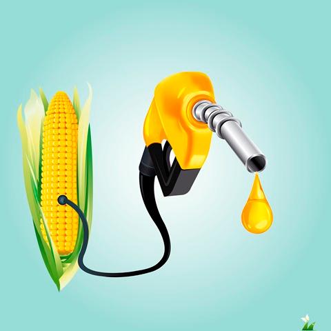 Government discovers sources of ethanol; biomass stocks to boost 