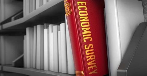 Economic Survey: Highlights