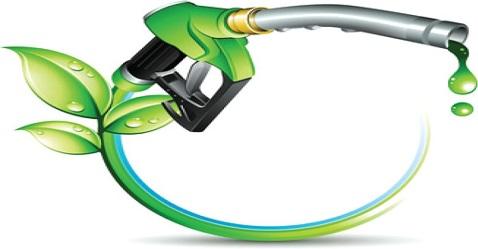 Bio-fuel sector to benefit from govt efforts to cut emission