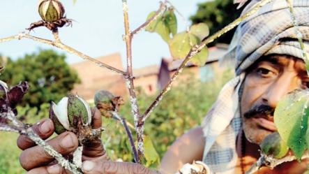 Waiver of loans, indeed a respite for PSU banks