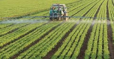 Government to roll out direct subsidy on fertilisers