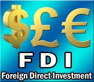 Govt Clears 16 FDI Proposals Worth 6751 Crore