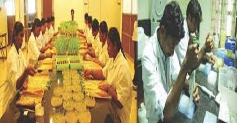 Kaveri Seeds recovers from intra-day lows 