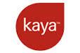 Kaya in focus on acquisition of UAE based hospital