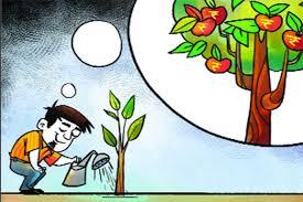 This Dividend Yield Fund can enrich your portfolio 